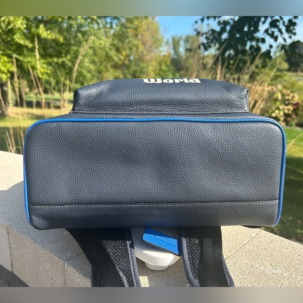 Disney x Coach 50th Anniversary Walt Disney World Charter Backpack C8488 - Picture 13 of 17